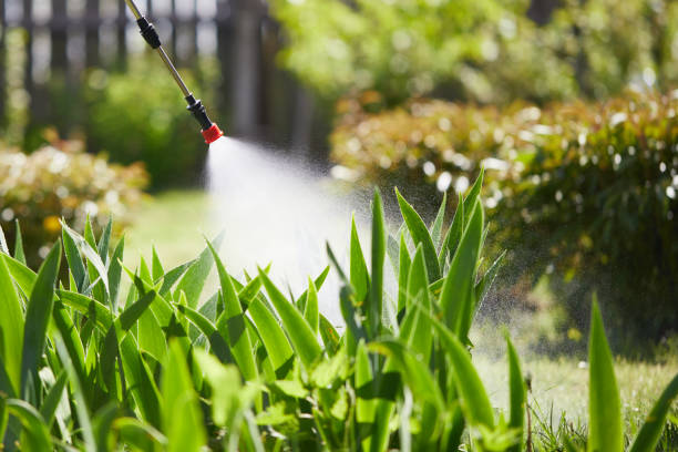 24/7 Emergency Mosquito Control experts in Makaha, HI